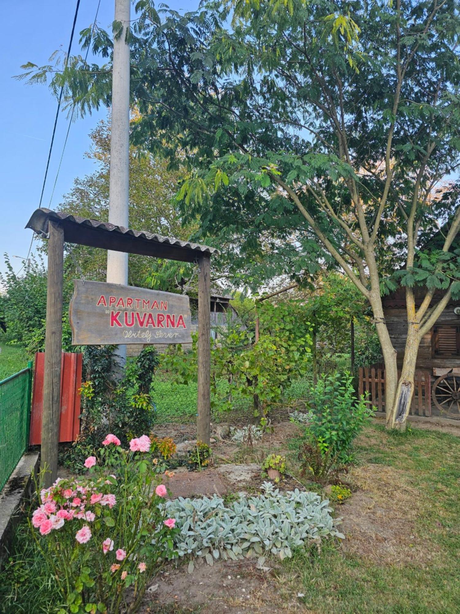 Apartments Kuvarna Čigoč Εξωτερικό φωτογραφία